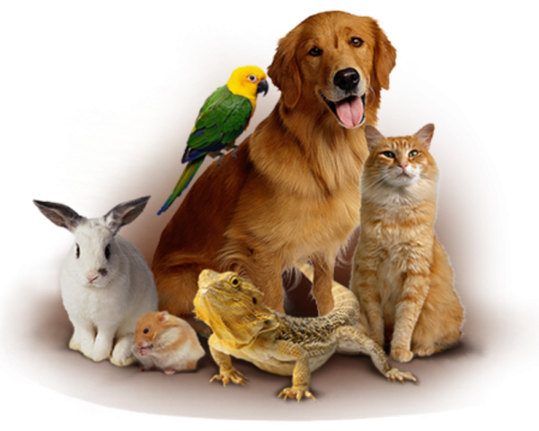 �������� �������� �� ZOO�������!  ������� � ��������! �� ��������� ��� ��������� �� ������ ��� ����� ������������!