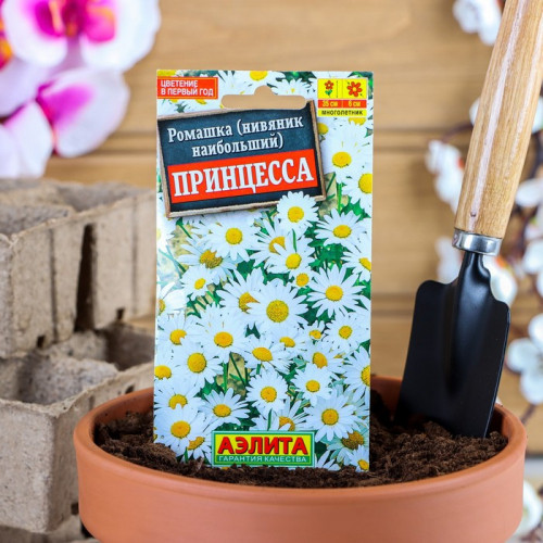 ���� �� 15.04 ������: �����, ��������� ��������, �������, ������ � ��������, ������� � ����������, ������ � ��������, �����, �����, ����� � ������, ������ ��� �����. �-13.