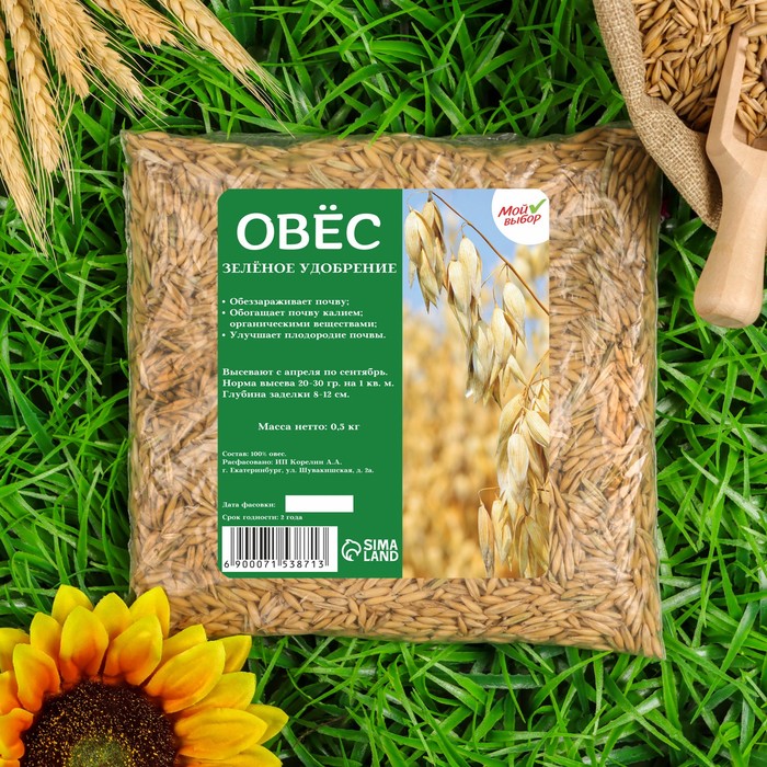 ������� ������ �������� ���� � ���������