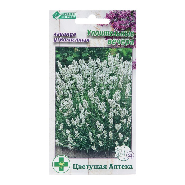 ������� ������ �������