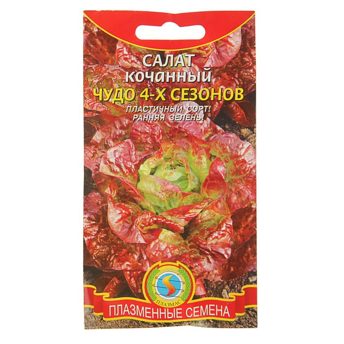 ������� ������ ������