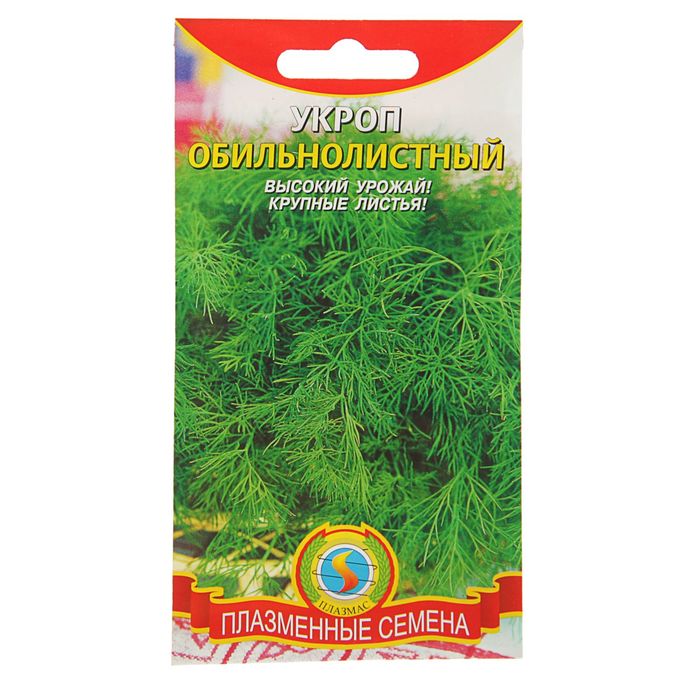 ������� ������ ������: ���������, ������ ������, �������, ��������, ����������, ����������, ����, ���������, ������, �������, �����, ���������