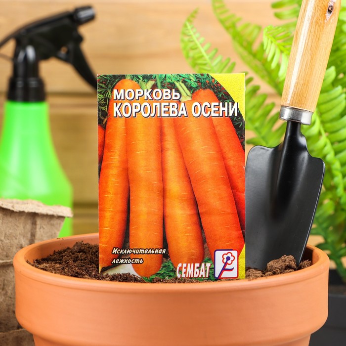 ������� ������ �������