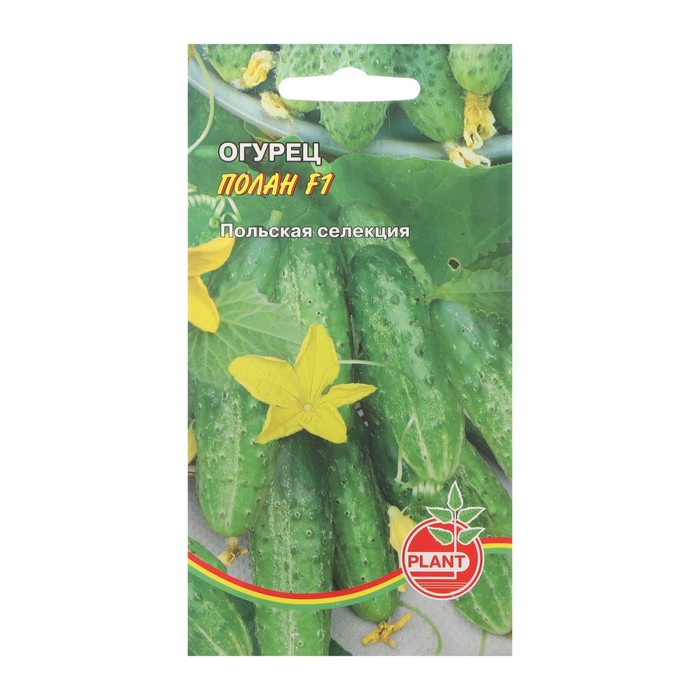 ������� ������ ������� F1