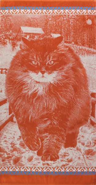 ����� �������� ���������� �������� ��������� ���� �������