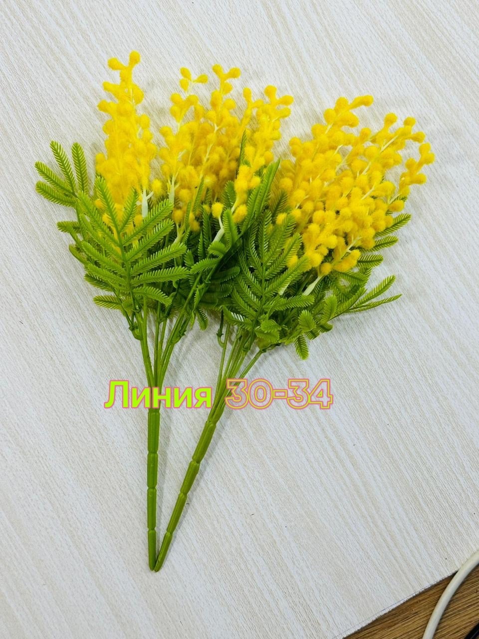 �������� ��� - 117 ���. ������� 16 �� 40 ��.