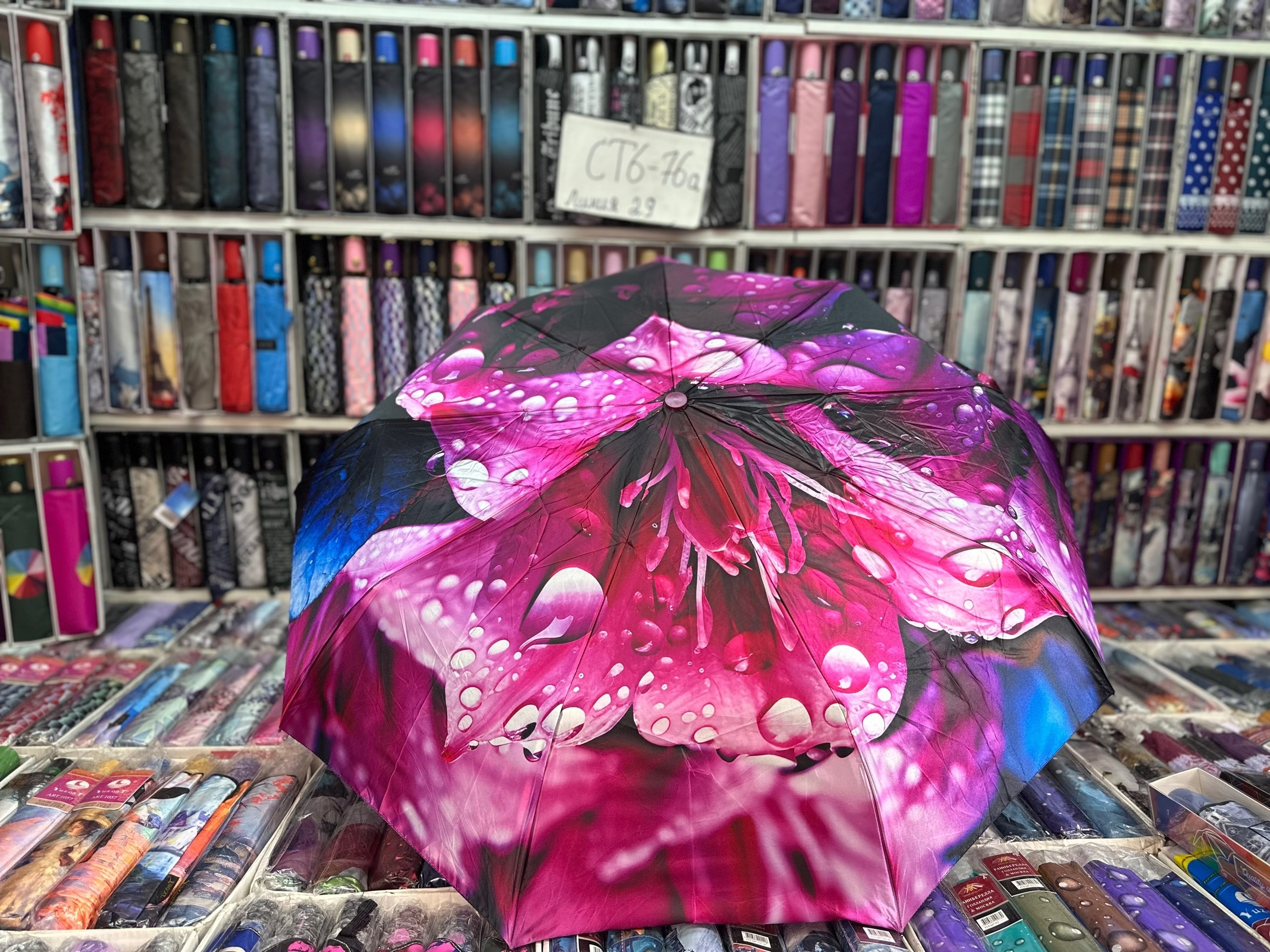 �������� ��� - 910 ���. 6 ��������� �� �����.