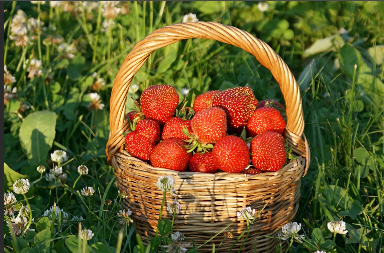 ���������� �������. 