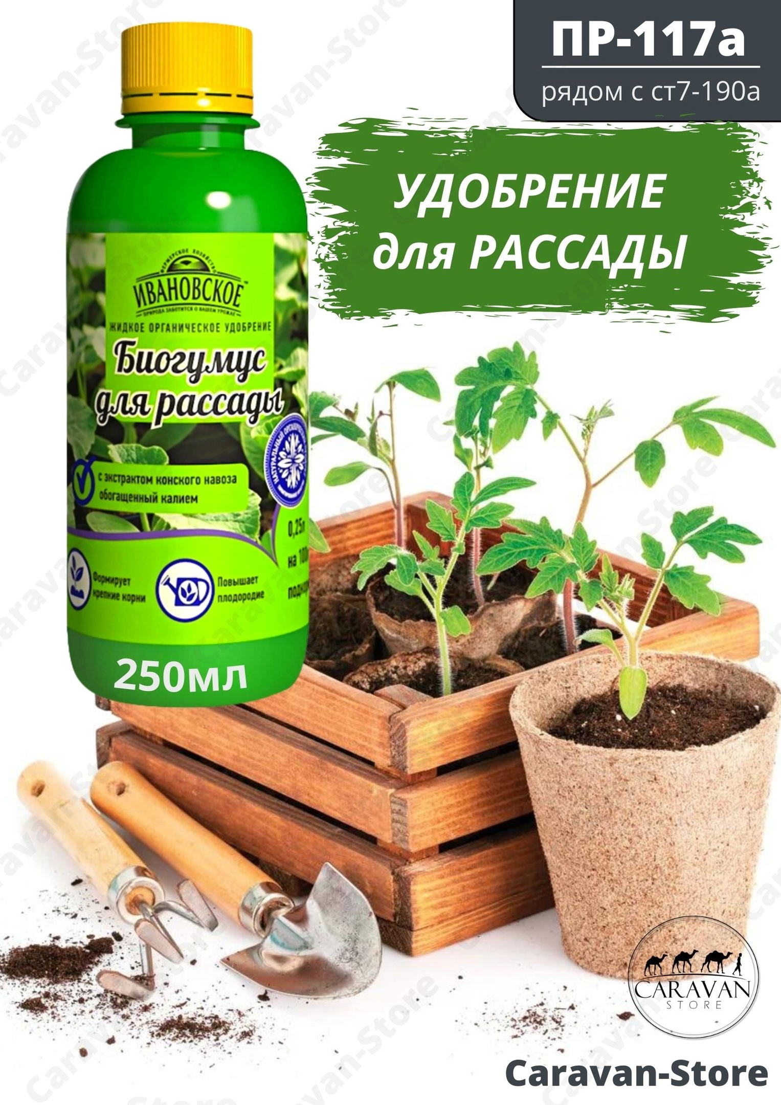 �������� ��� �������, 250 �� - 80 ���. �������� 3 �� �������.