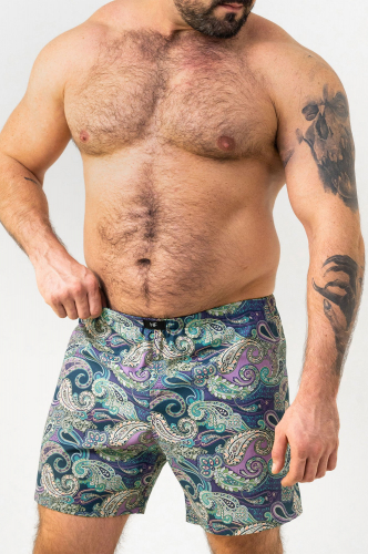 Baykar, Donella, Happy Fox, Nicoletta - ���أ ��� ��������- 4