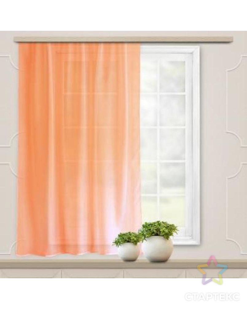 ����, �����, ����� ��� ����� ���� �������