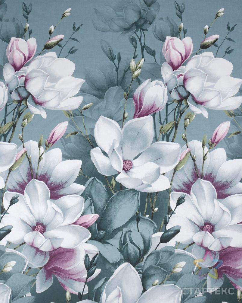 �������: ����� ������� ������ �� ����� ���� �������. �������� ��������� !