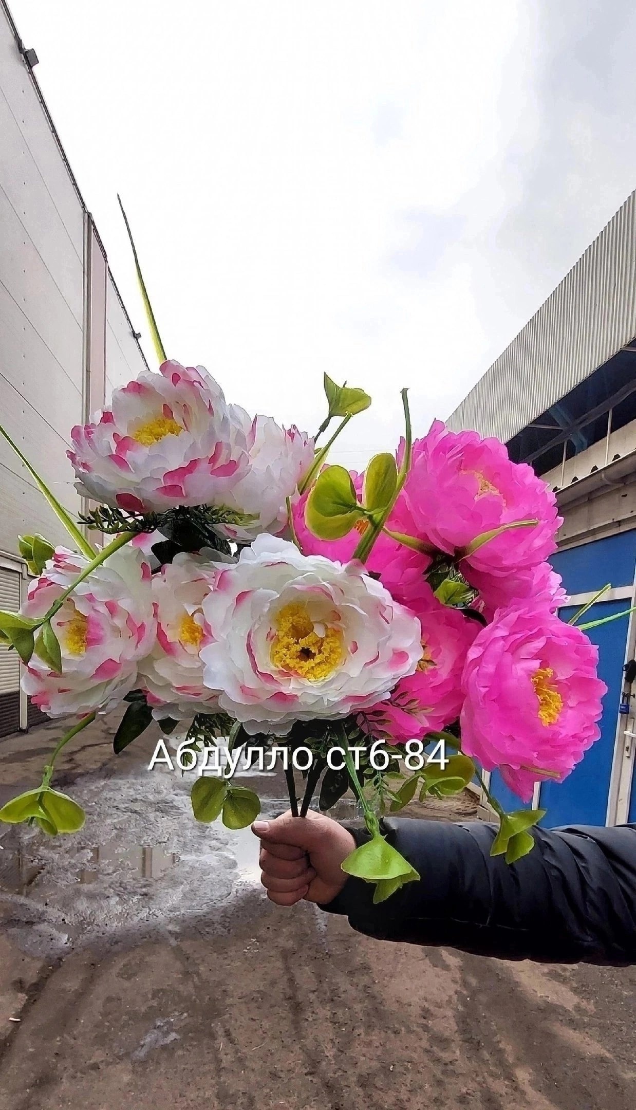 ����� ������������� - 104 ���.