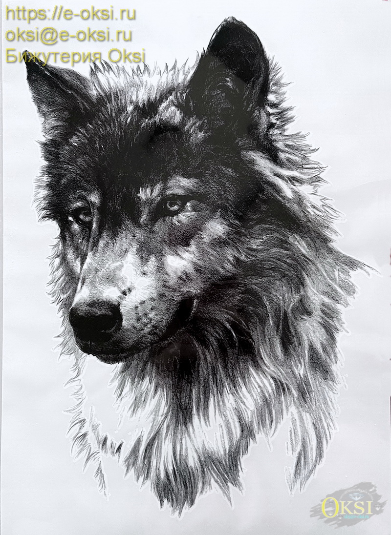 ������� ���������� ����������