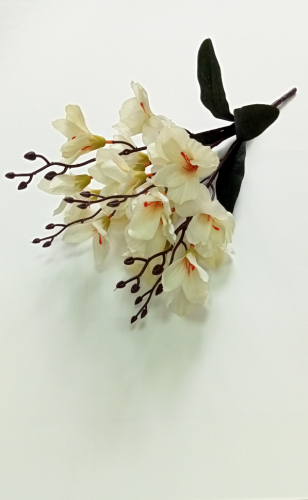 ��� � �������. ������������� �����. ������� �� ����� 