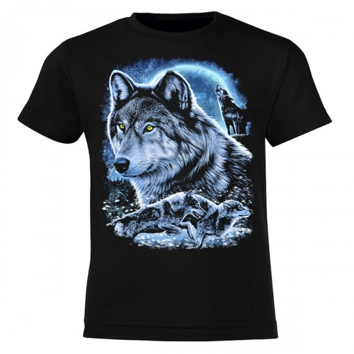 �������� ������������. ����������� ����� ������� ��������� � ������������ �������, ������ � ������ ������������.