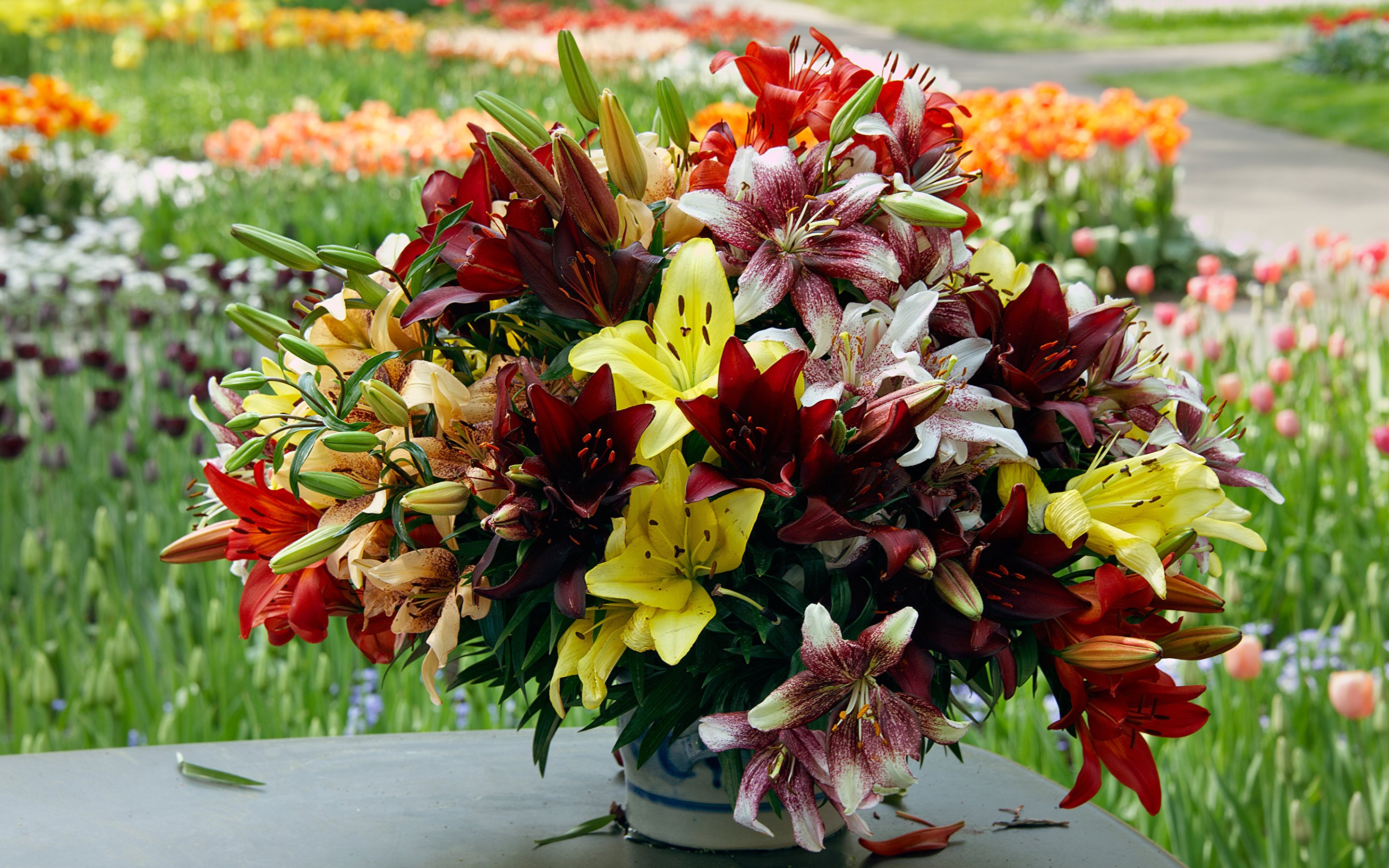 ���� �������. 20/05 �������� ����� �� �������� �����.