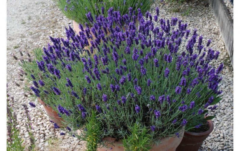 ��������� �������� ��� ����. ������� ����� � �����. ������������, ������� ������ ��� ����! 