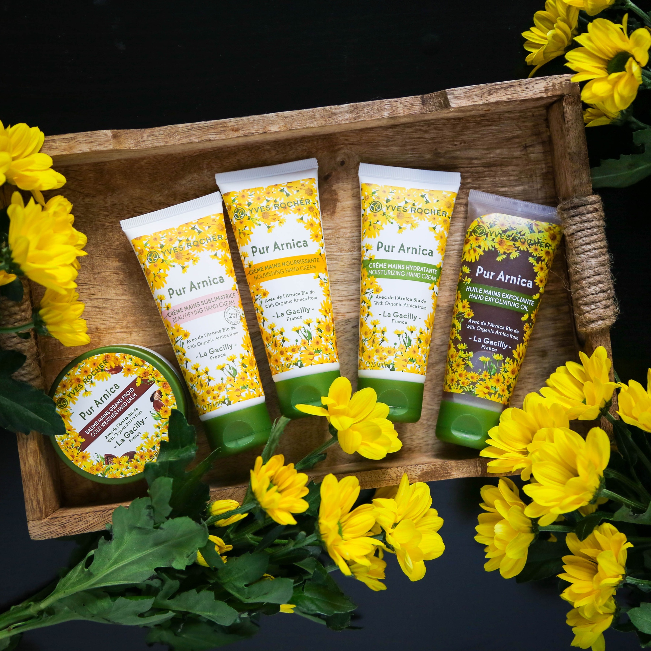 ��������� � �������� ����� 2-� �������: �� Yv*es Roc*her � �� Tian*De = ������ �� 70%!