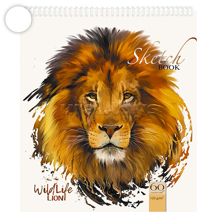 �������� ��� - ���������, ���������