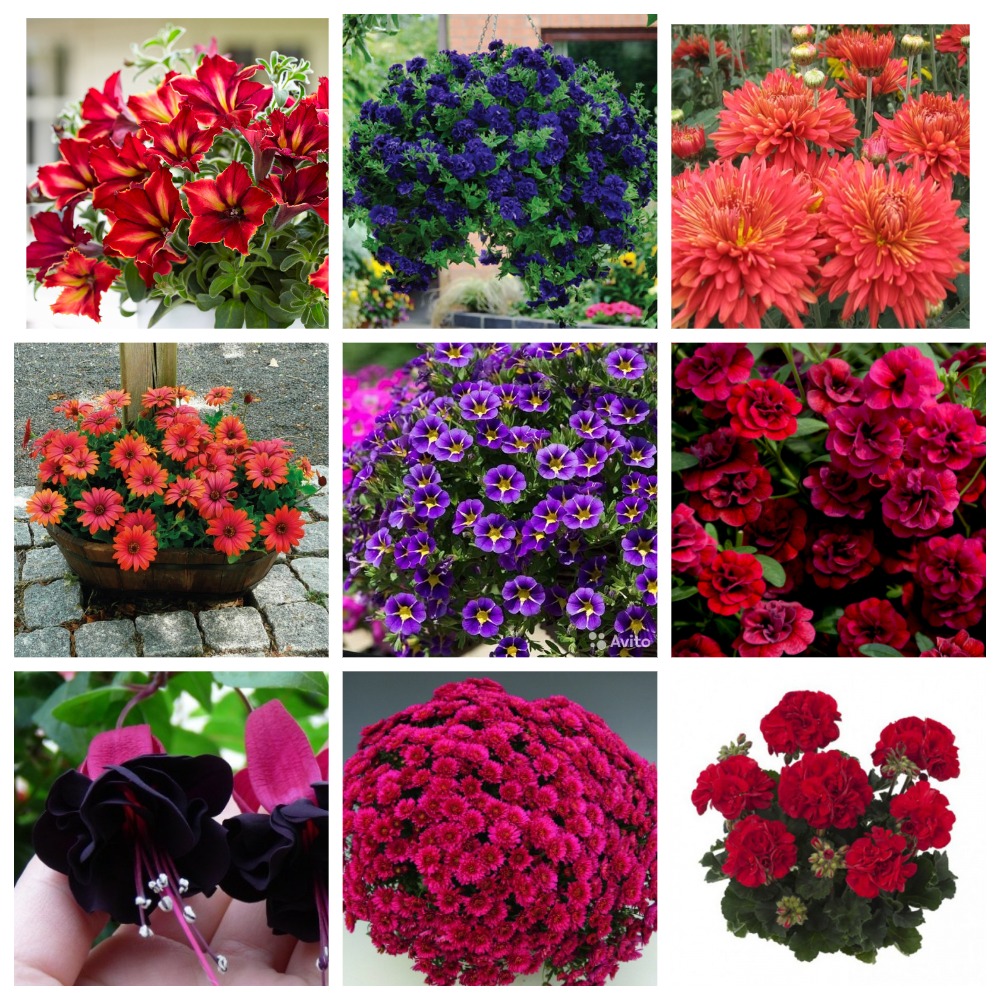 �ӣ � �������. �������� �� 17.05. ����������, ������������ �������, ����������, �������, ����������, ������ � ��.