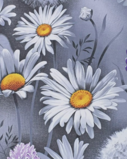 ����������� ��������� ���������- �������� �������� �� ����� ���� !! 