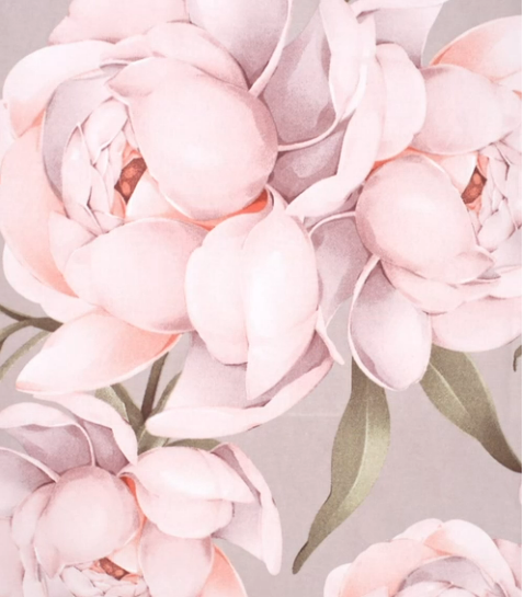 ����� �������� ������� -  ����� �� ���������� �����. ������ �������� � �������.