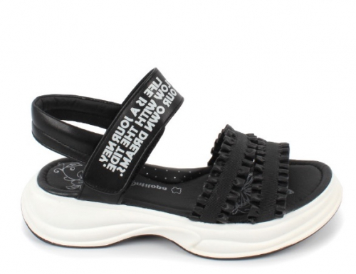 ���� �������. ������ ����� �������, ��������, ������, ����� � ��. ��� �����