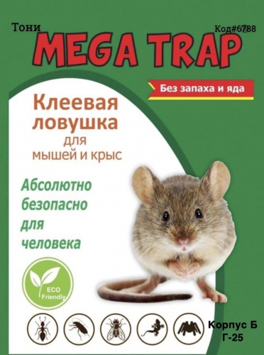 ���� ������� ������� ��� ����� 