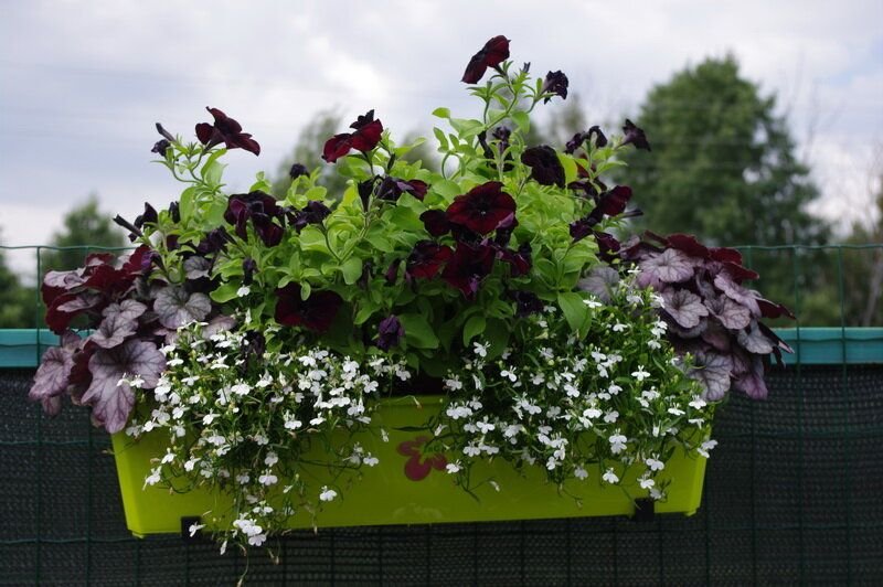 ��������! �������! ��������! ����������� � ������������!  �������� ����� ��� ��� ��� ������! �� ��������� ������ �������.