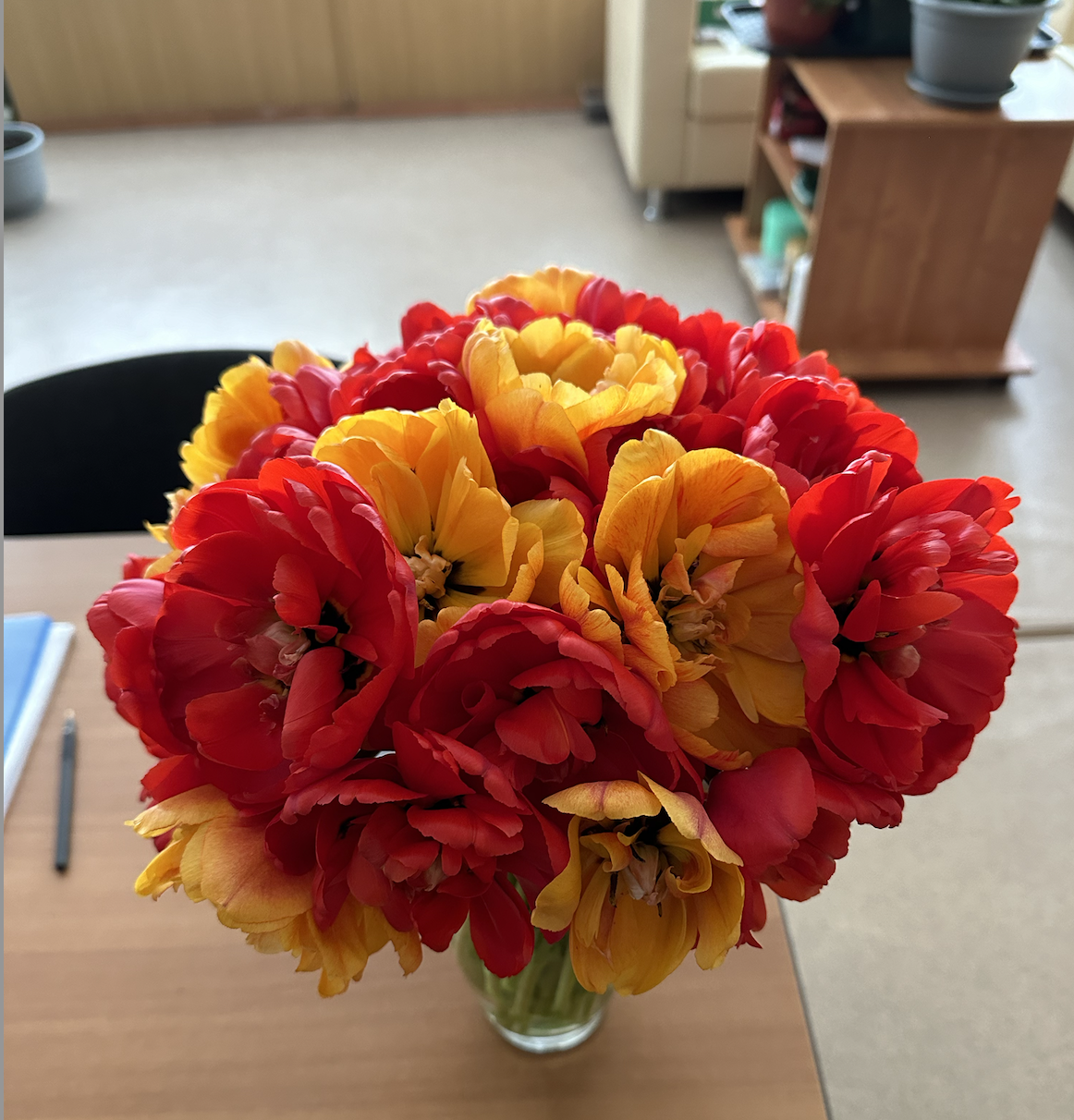 �������� ����������� ��������!!!