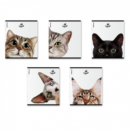 Sale! Eri�h Kraus*e - ���������� 8.