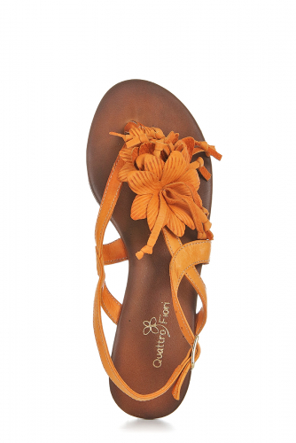 ���� 2500 � ����� 1000 �! ���. ����!����� �������� QUATTRO FIORI+ ���� ����� ��� ���� ����� �� ����-�����!�������!