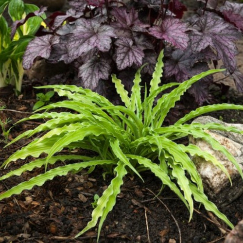 [b]���� ������� �� 16 ����. ���� �����-���������, ���������, ��������, �����, ������� �������� ��������, ���������, ���������, �������, ���������, ���� �� ������, ������������ � ������ �������[/b]