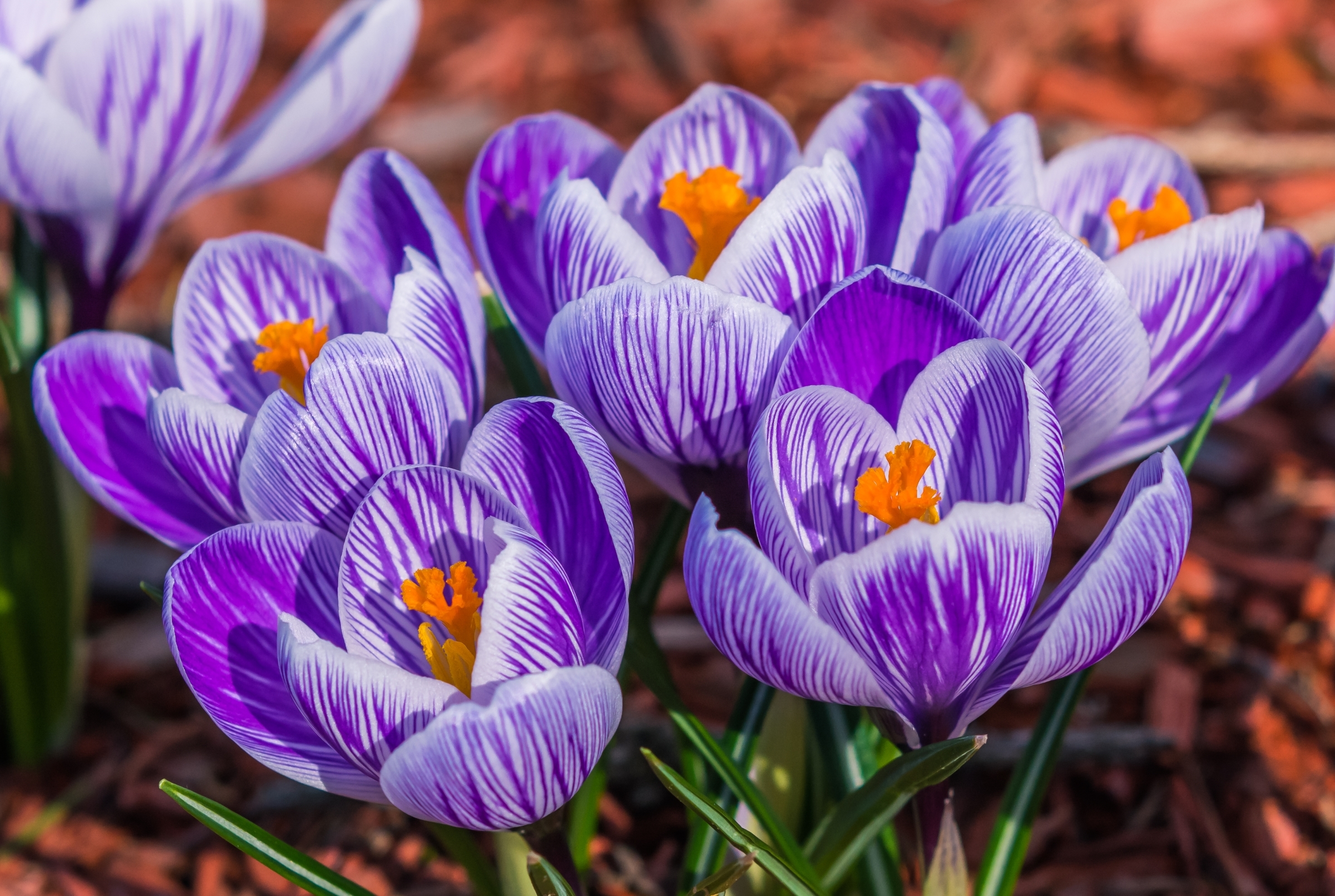 ���������� ����� � ������������