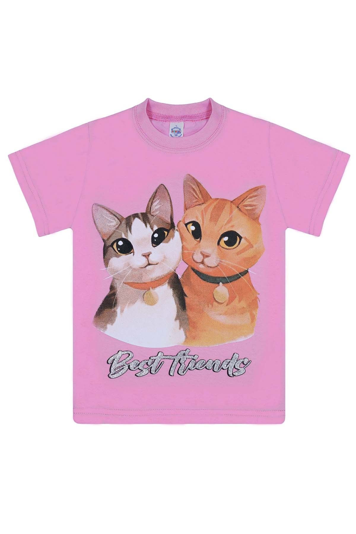 �������� ������ � ������ ��� �������   ���� �������