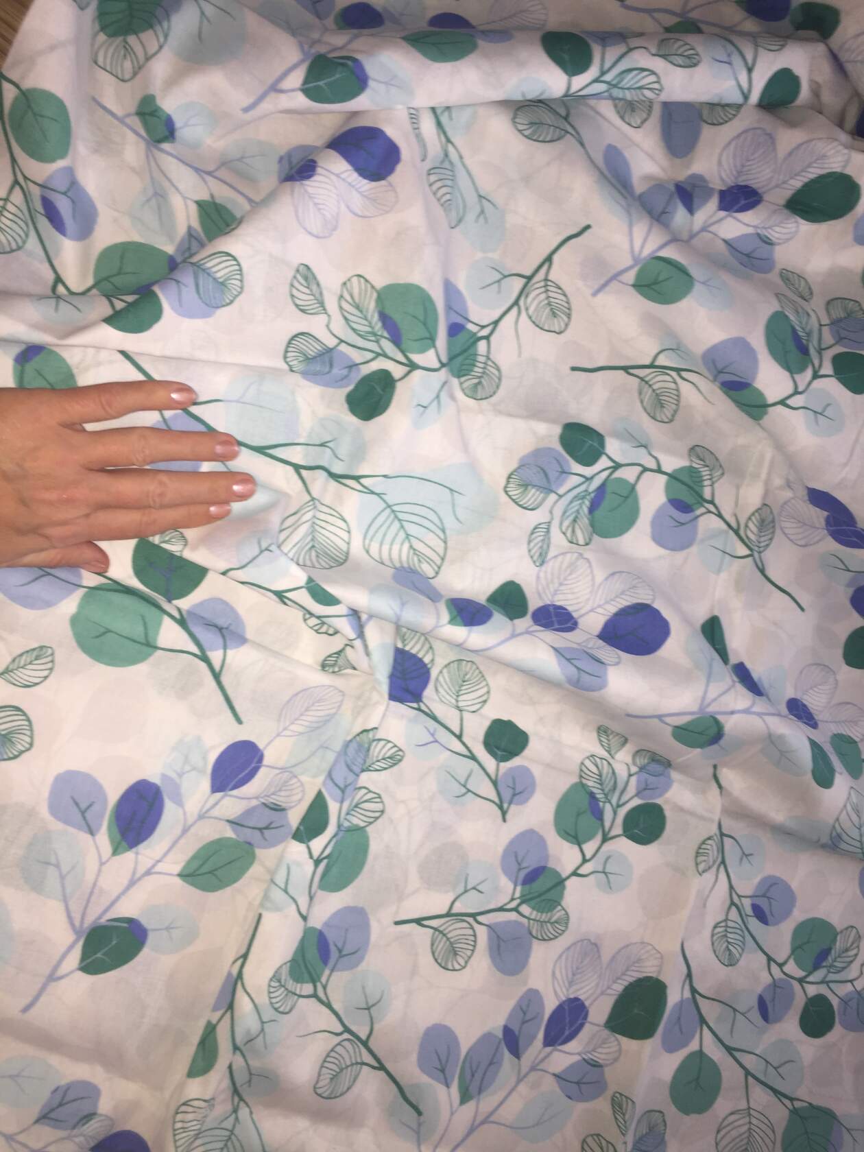 ����� ��� ������ ����������� ����� ���� �������