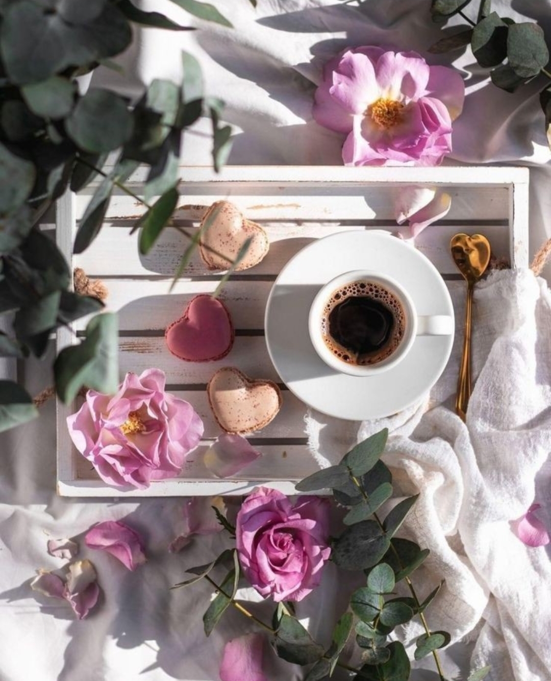 ����� ���� ��� � ���� ������ ������! 