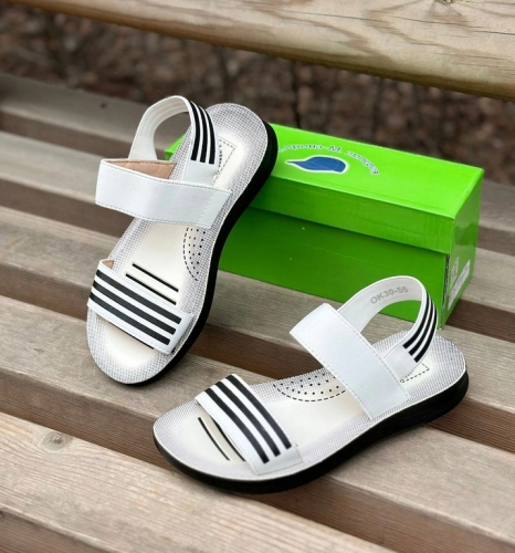 550� �� 35�������