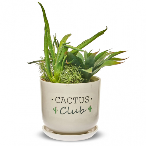 ������� ����� ����������� � ���������� �������!