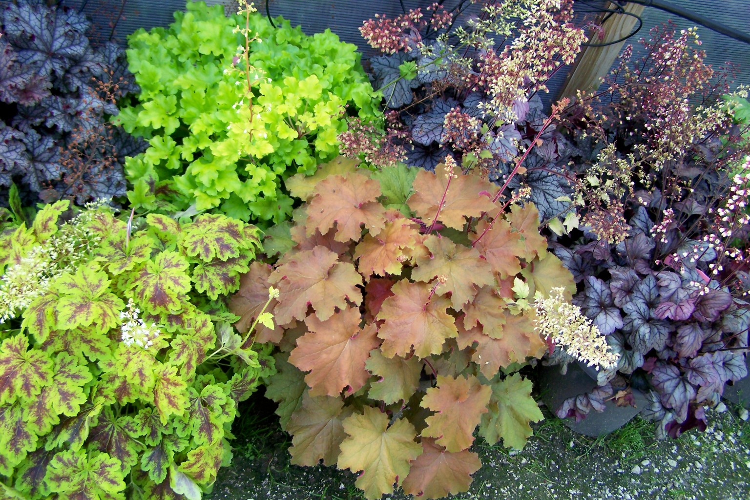 ���� ������� �� 24 ����. ������� 26-27. ������� - ���� ����������������! �������, �����! ���������� �����������- �������, ����������, ����������.