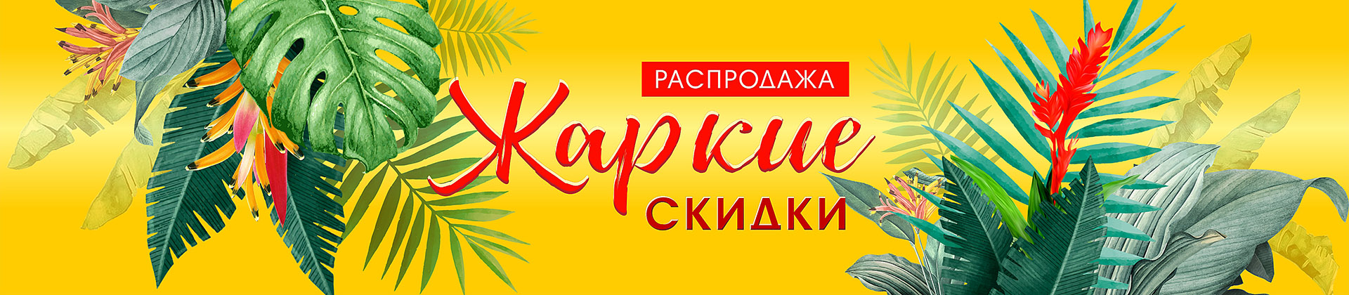 ������ Sale -50% � ��� ���.�����. ������� ������, �����.