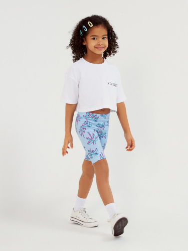 ����� ���� ACOOLA