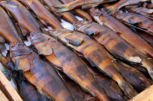 ���� �������� �������� ������, ���������! ��������� ��������� ����, ����� �������� �� ����. ����� ���� � � ������� � �������� ����. ������ ������� ��������� � ������ ������� � ���������!