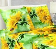 ���������, �������������  �� ����- ����� ����� ��������� ���� �������