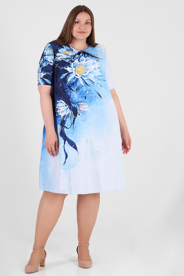 �������� ������ ������� ��������! ���� 1709 ���