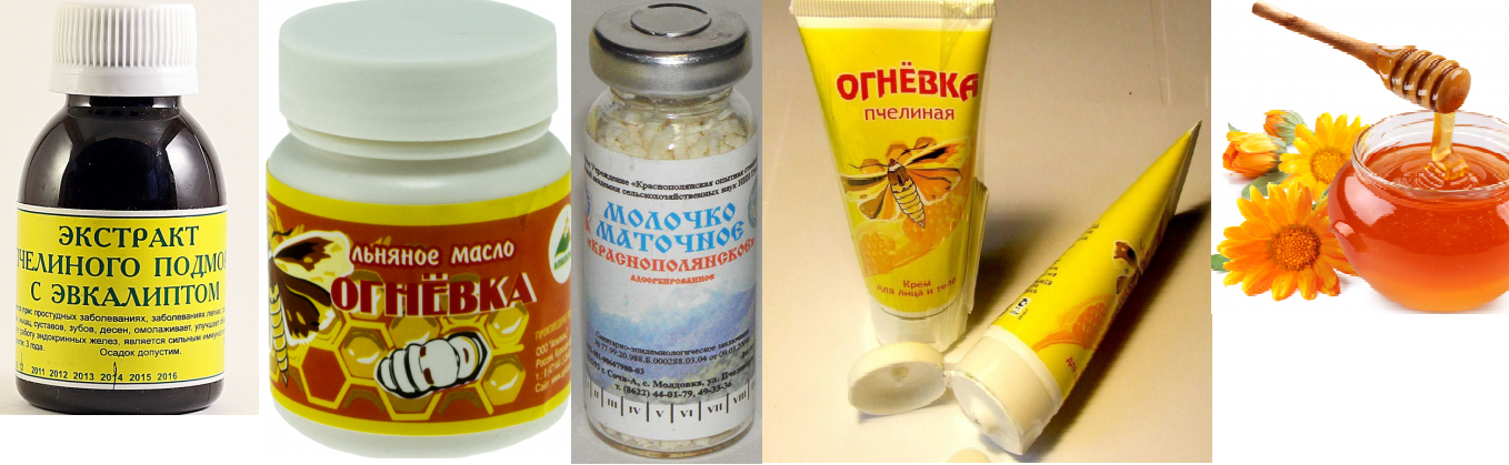 �������� ������������: ���, �����, �������� �������, ����, ��������, ��������