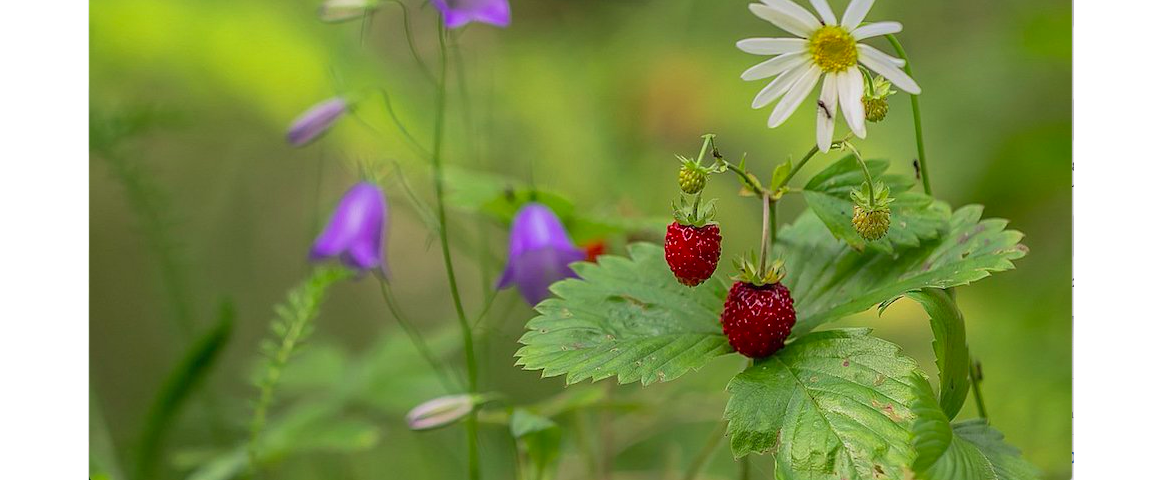 �� � �������! ������������ ����������! ������� �� 200 ���! ��������!