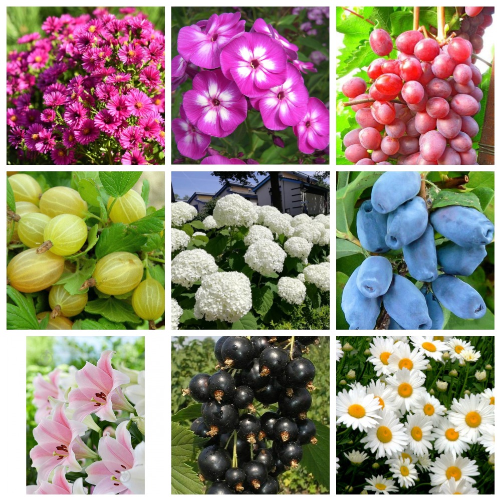 ���� ������� �� 03.07. �������� 20. �������� � ������������ ����������, ������� ����������� ������ � ������ �����.