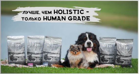 Acari Ciar (����� ����)-��� �����, ������� ����� �������, � �������� �� ���������! ��� �������� � ����������� ������� ��� ����� � �����! ����� �����-�������, ���������, ����.�����, ���������� � �������! ���� ���� � 2 ����, ��� �� ��!